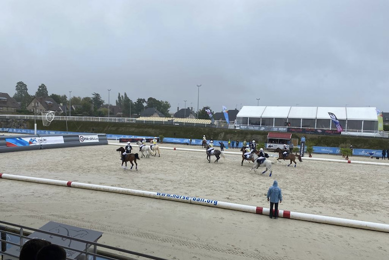 Federação Italiana de Esportes Equestres – Copa do Mundo de Horseball.  Azzurri conquista cinco medalhas em Saint Lo