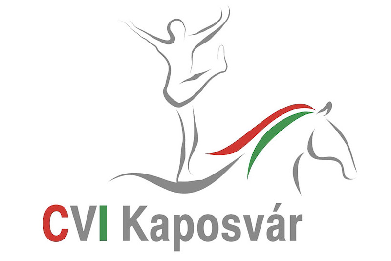 Logo kaposvar22 2
