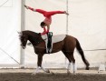 <a class="npp_linktitle" href="/discipline-fed/discipline-non-olimpiche/volteggio/item/44326-volteggio-stopazzini-seconda-solo-a-sneekes.html">VOLTEGGIO: Stopazzini seconda solo a Sneekes</a>
