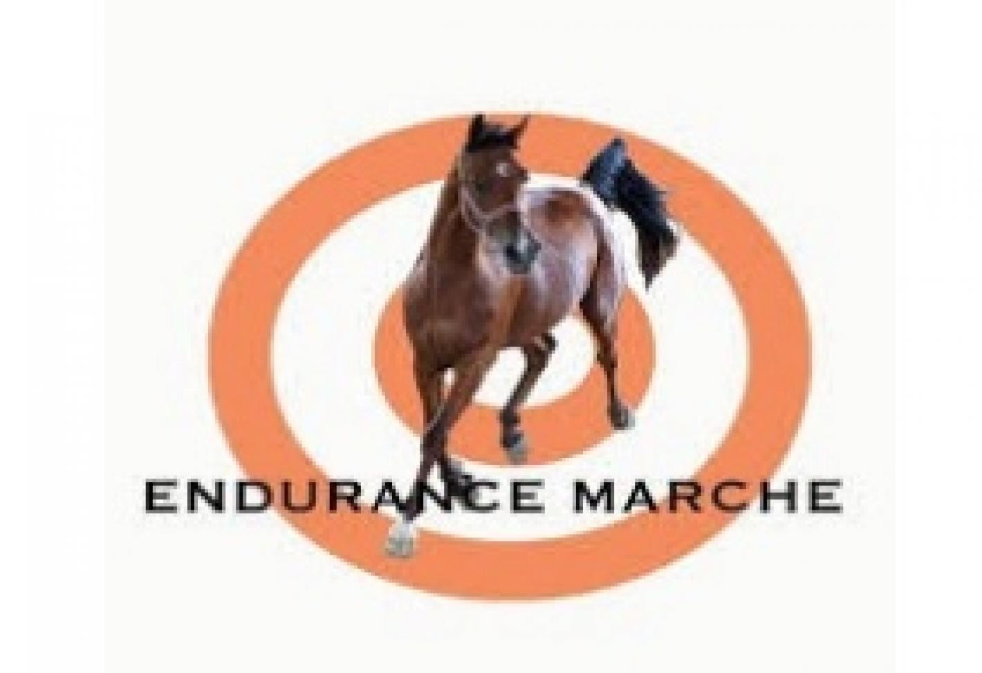 images/marche/Endurance/medium/Endurance_Marche.jpeg