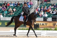 Brecciaroli Dressage