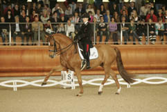Dressage: Valentina Truppa 15esima in Coppa