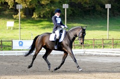 SAGGIO DELLE SCUOLE, CAMPIONATO PER SOCIETA', TROFEO COPPA ITALIA PONY CROSS COUNTRY, CAMP. ITA CROSS COUNTRY e FINALE UNIRE 4 E 5 ANNI