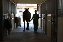 VETERINARIA: modifica del Regolamento Antidoping FISE