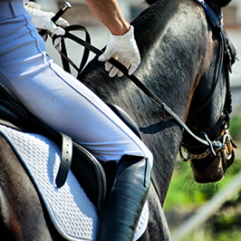 Federazione Italiana Sport Equestri Concorsi
