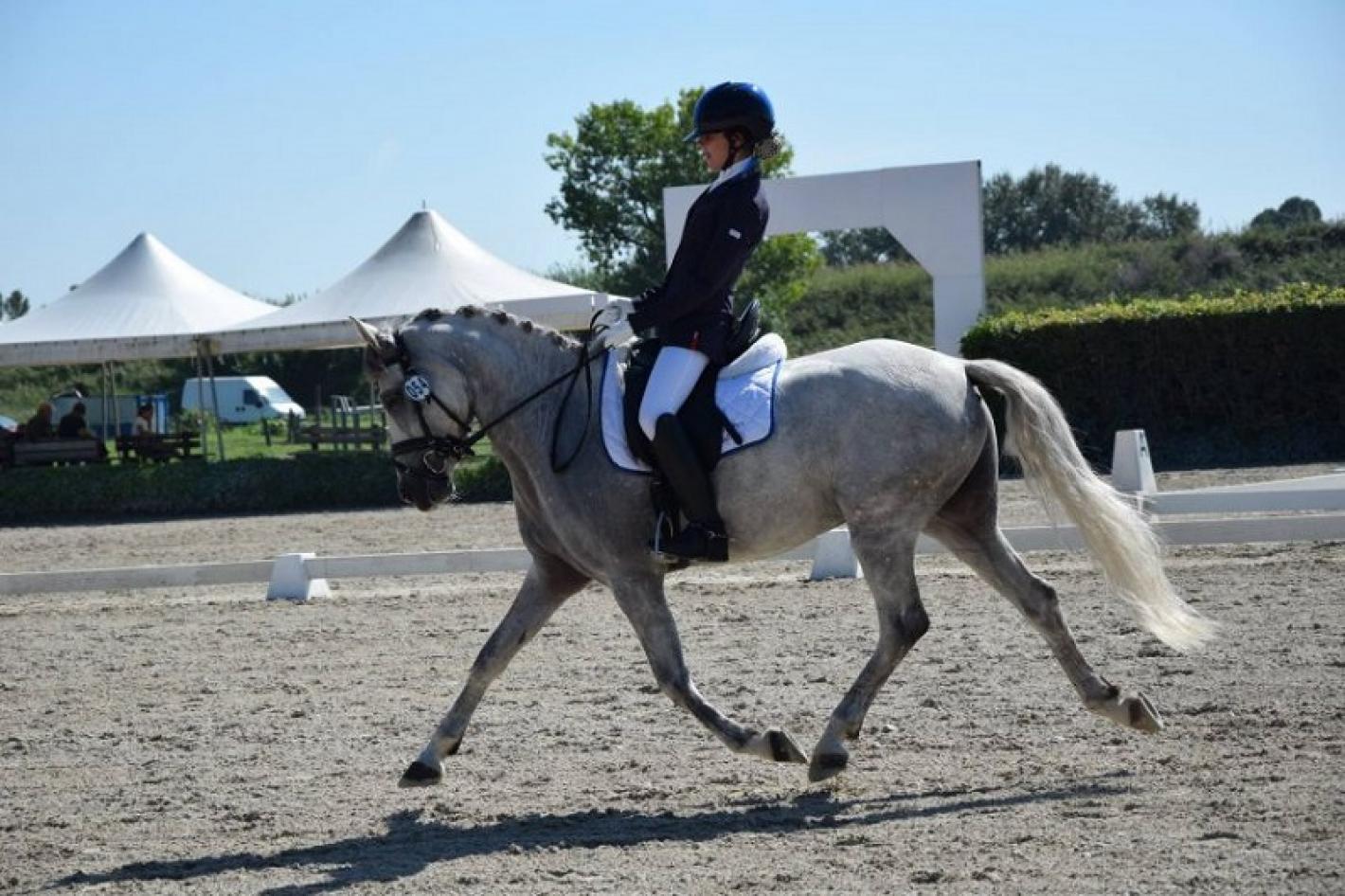 images/abruzzo/Dressage/medium/dressage-pony.jpg