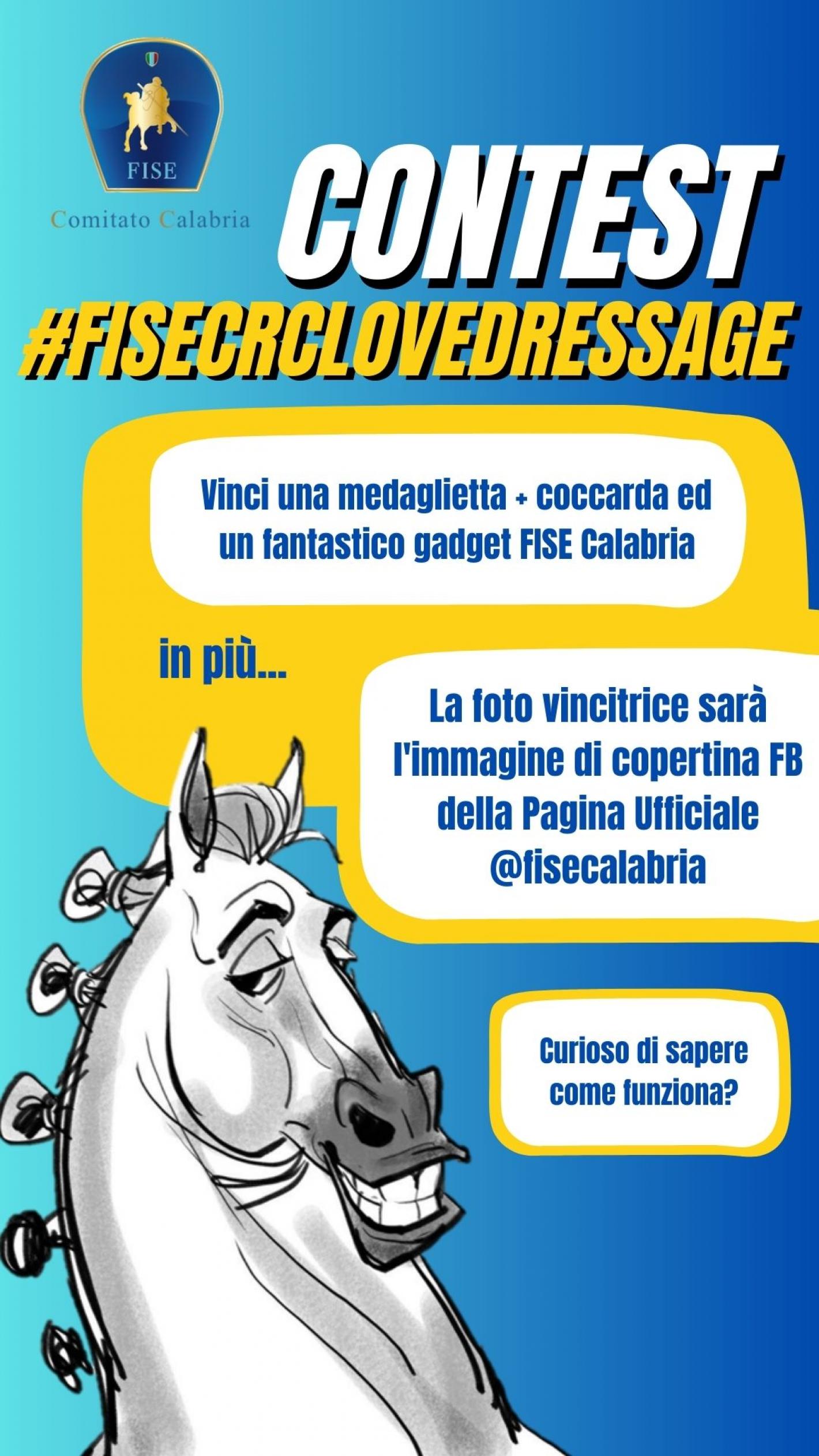 images/calabria/Dressage/medium/1.jpg