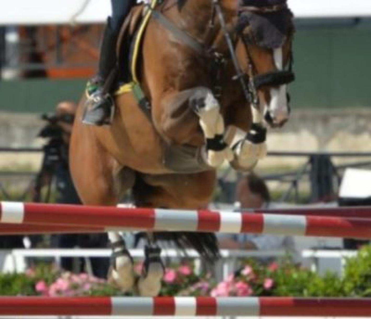 images/calabria/Salto_Ostacoli/medium/salto_ostacoli.jpg