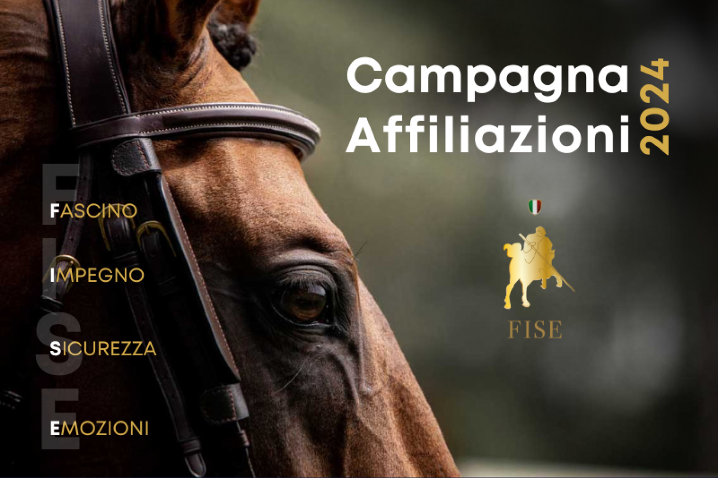 images/calabria/medium/CAMPAGNA_AFFILIAZIONI_2024.png