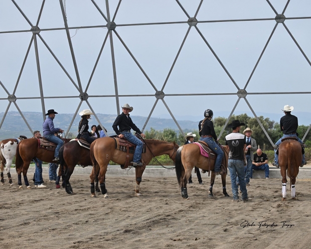 WRCC Qualifying Show e 1° Show Campionato Regionale  Debuttanti  Parareining  Avviamento al Reining  Pony Reining CRHA-IRHA-FISE-NRHA 2026
