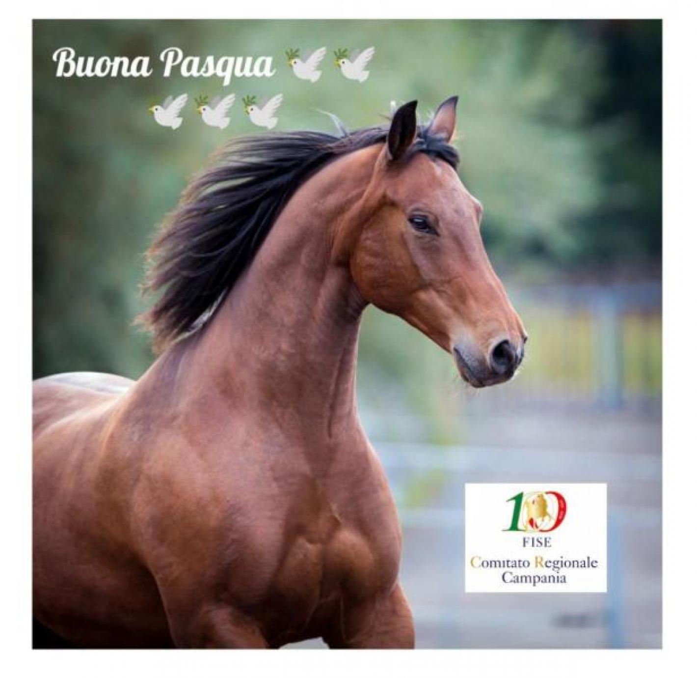images/campania/medium/Buona_Pasqua_CR_Campania.jpeg