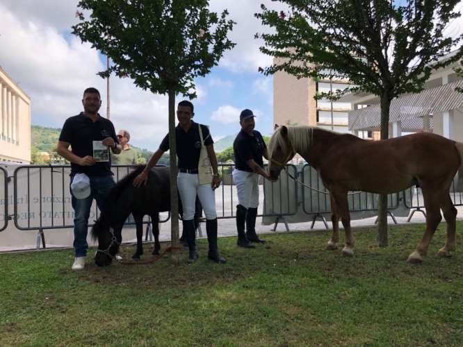 Pony Day 2018 Napoli