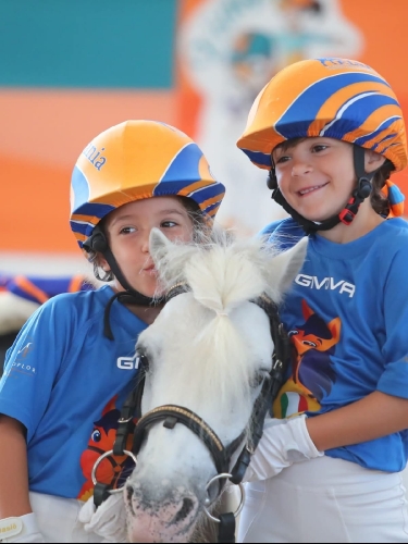 Ponyadi 2026!!!