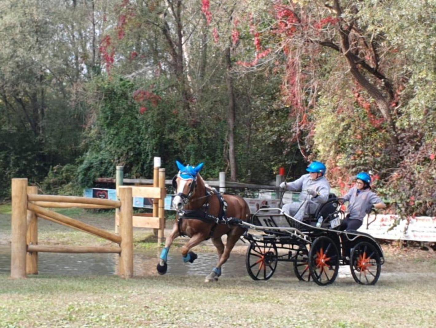 images/emiliaromagna/Attacchi/medium/CAMP_ITA_19_CAVINA_IVANO_MARATONA.jpeg