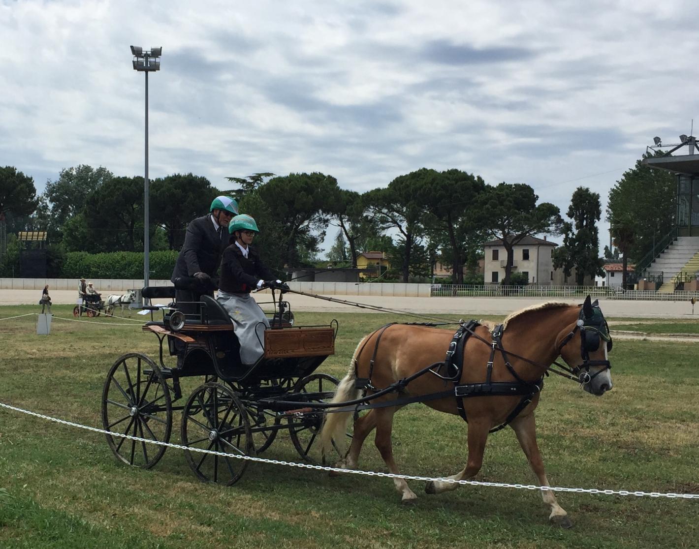 images/emiliaromagna/Attacchi/medium/COPPA_REG_ATTACCHI_2019__8.JPG