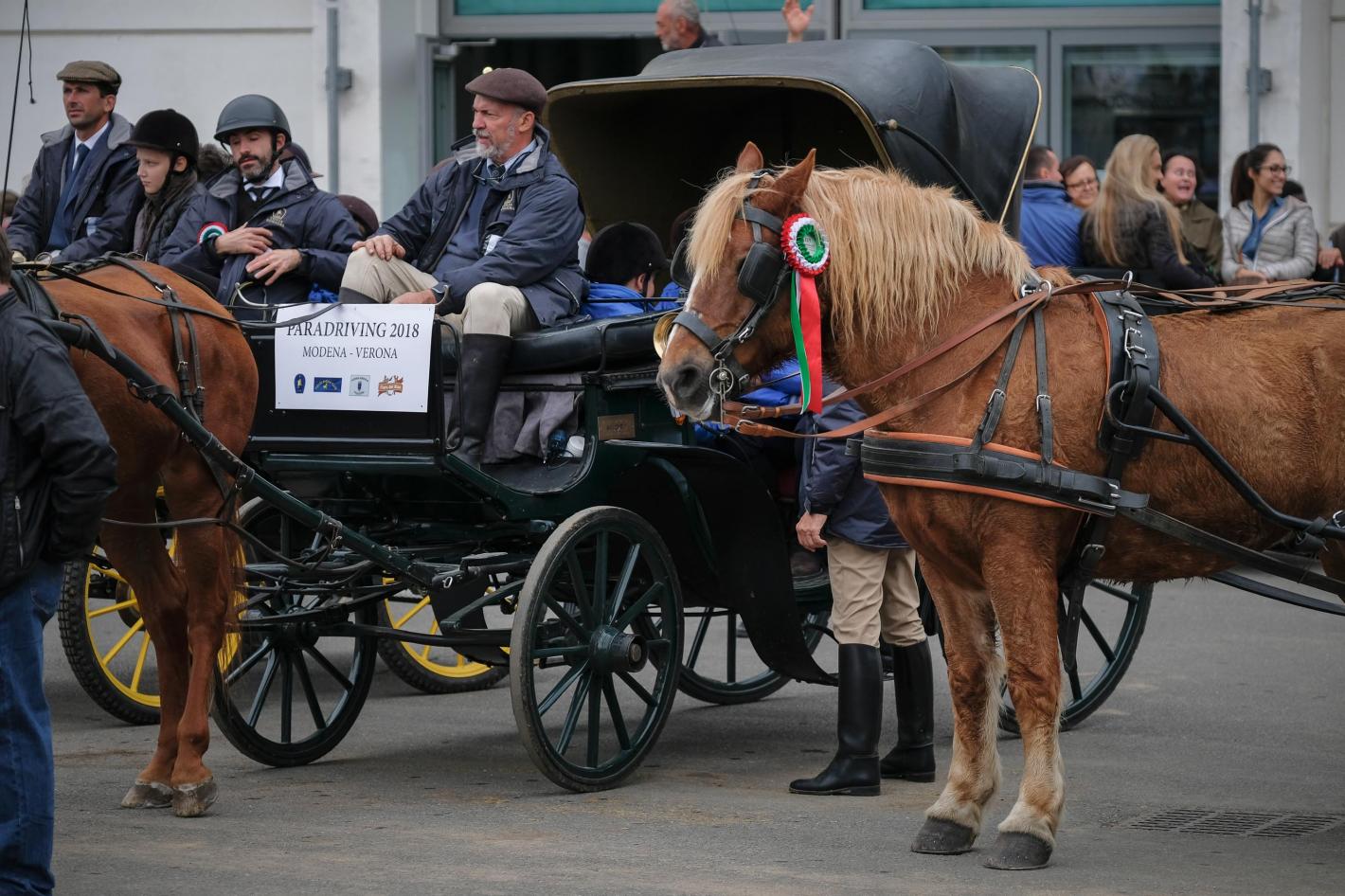 images/emiliaromagna/Attacchi/medium/PARADRIVING_2018_MO-VR.jpg