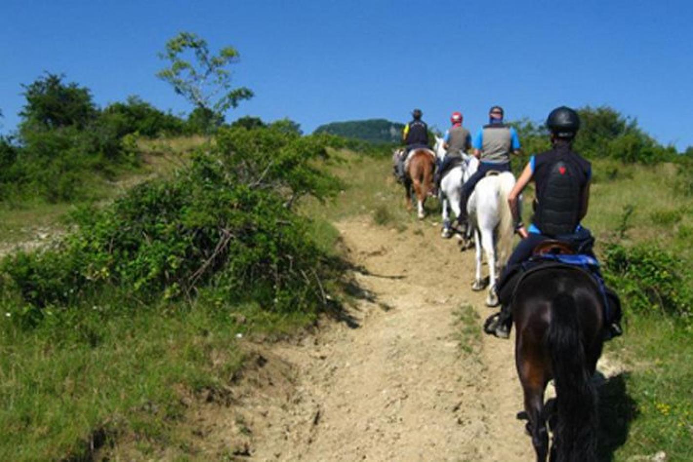 images/emiliaromagna/Campagna/medium/generica_turismoequestre_2.jpg