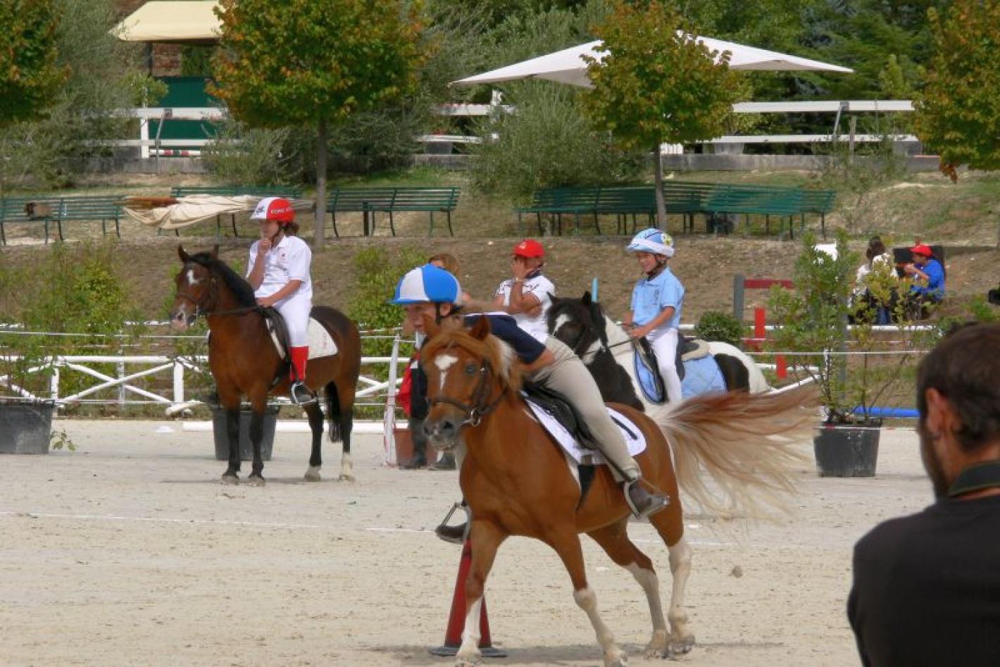 images/emiliaromagna/Club/medium/2018_PONYADImage.jpg