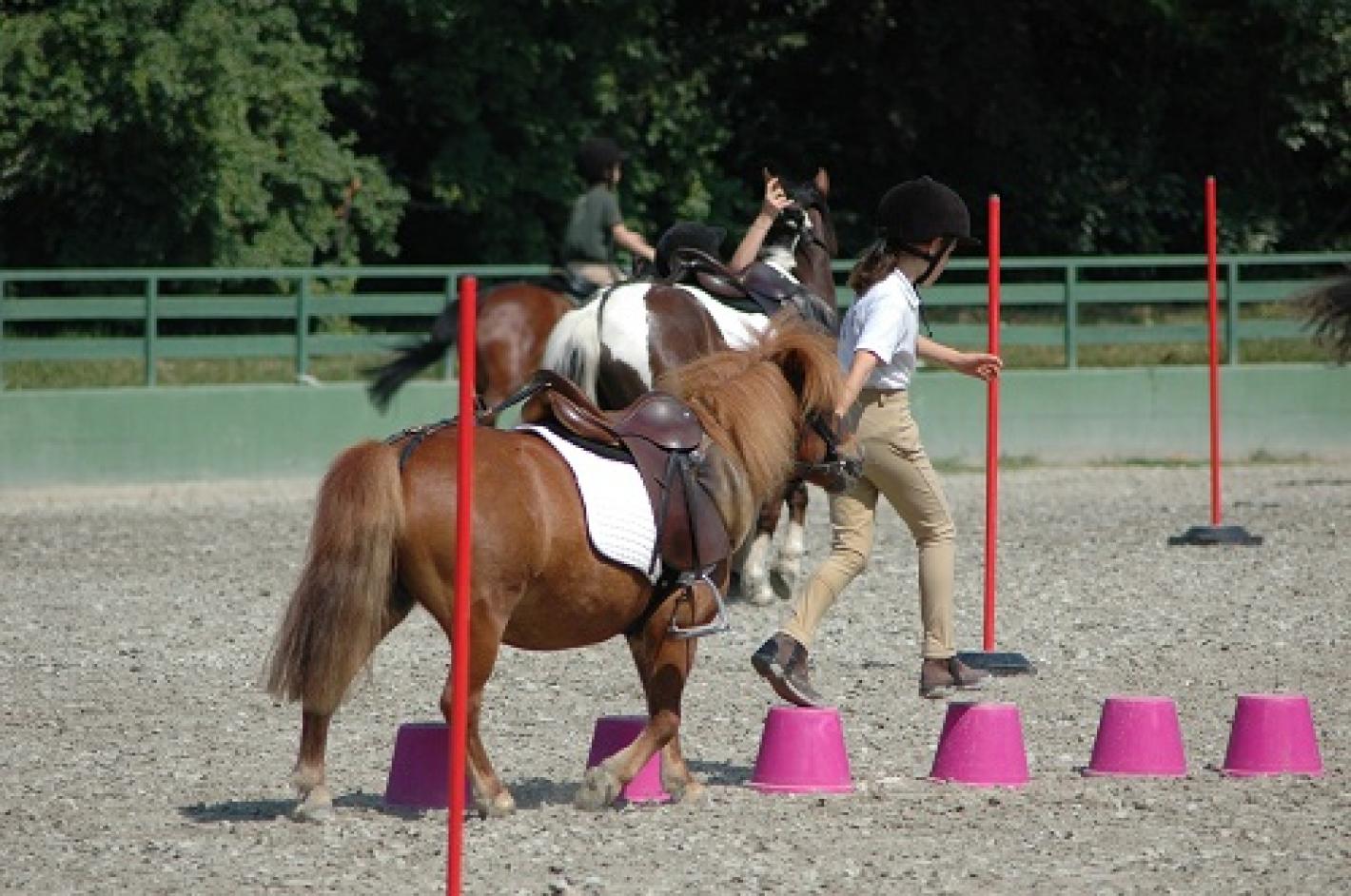 images/emiliaromagna/Club/medium/GENERICA_PONY.jpg