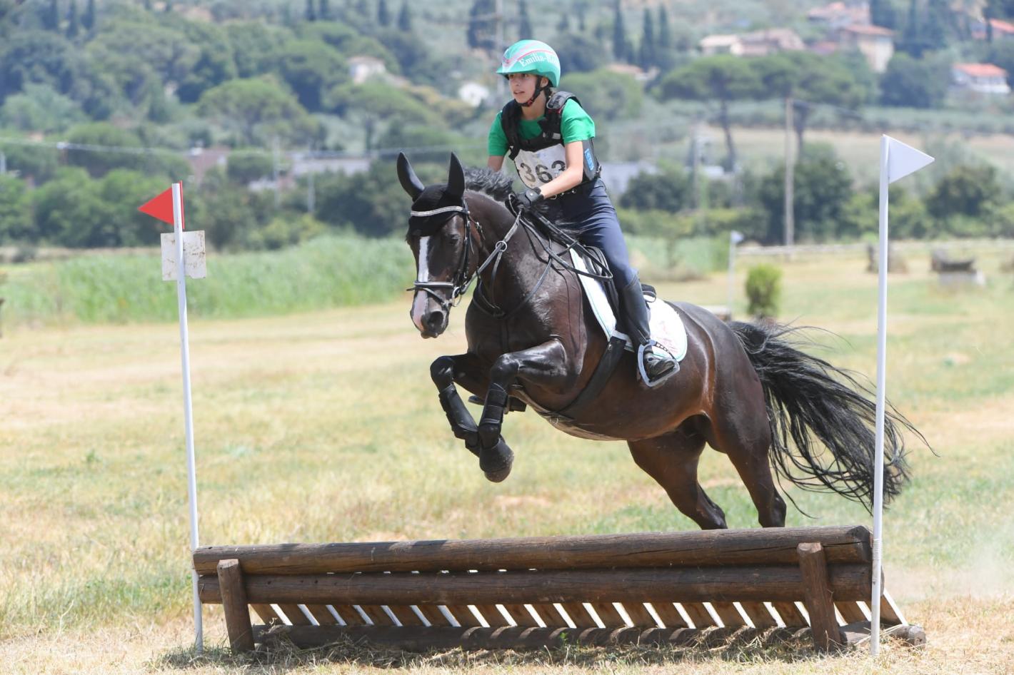 images/emiliaromagna/Completo/medium/ANDREINI_MATILDE_-_I_GRILLI.jpeg