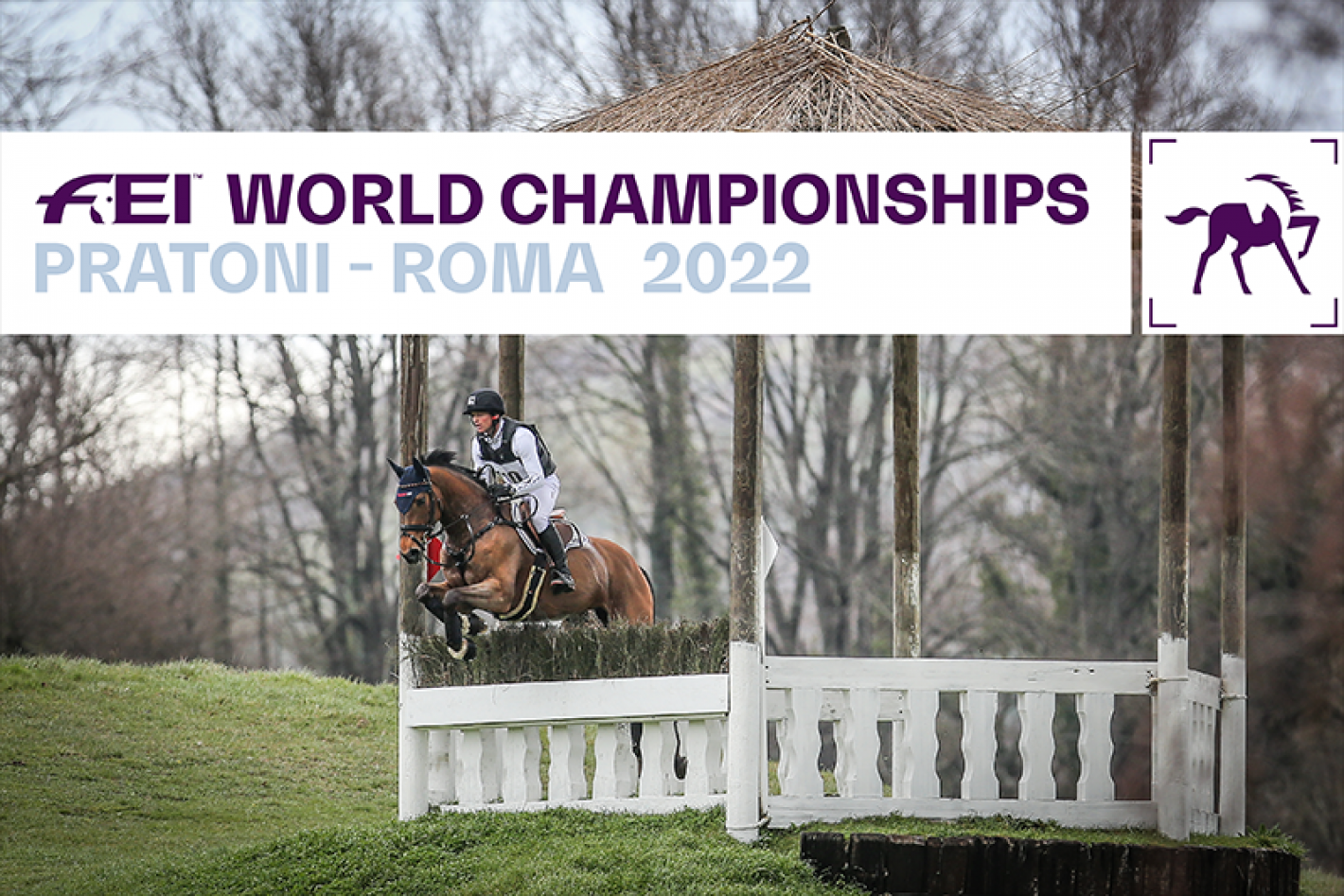 images/emiliaromagna/Completo/medium/FEI_WORLD_CHAMPIONSHIPS.png