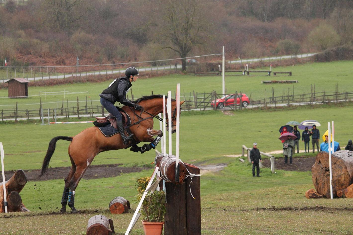 images/emiliaromagna/Completo/medium/RONCUZZI_SANDERSCOURT_FLYING_LAD_PRATONI_2018_CCI1.jpeg