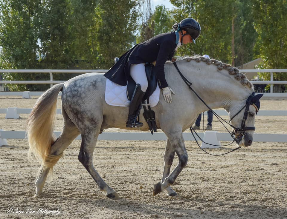 Ginevra Coperchio e Edipo El Bayo