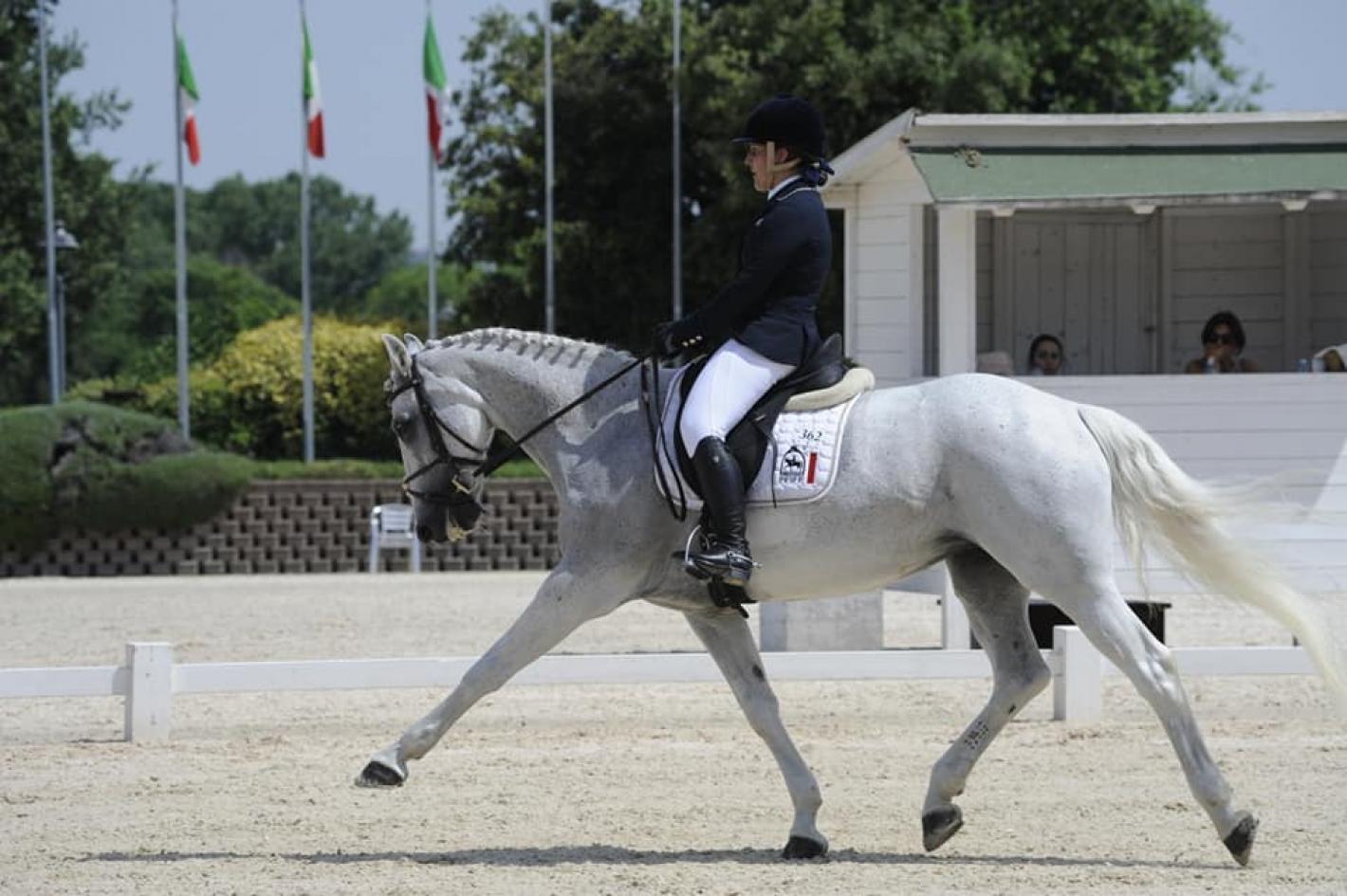 images/emiliaromagna/Dressage/medium/BORDOAGNI_GIULIA_HORSESRIVIERA2019.jpg