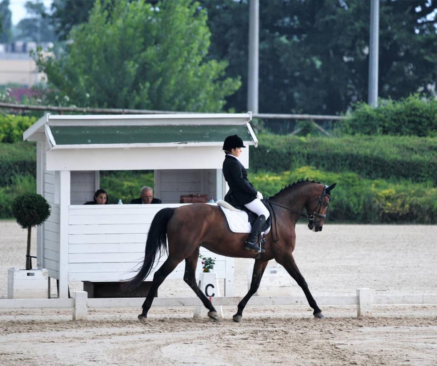 images/emiliaromagna/Dressage/medium/CATTINARI_SOFIA_RUBI_CAMPITA2019.jpg