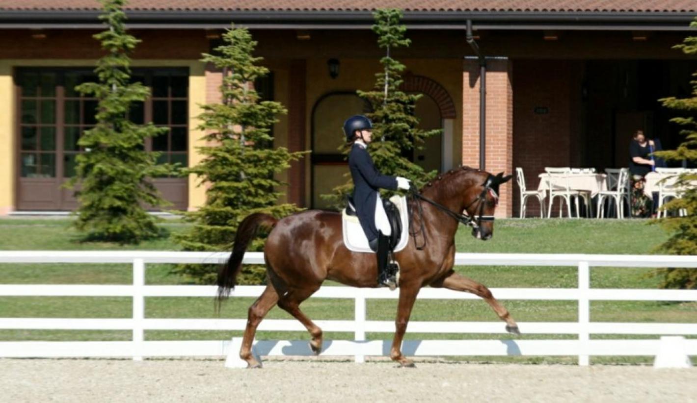 images/emiliaromagna/Dressage/medium/LIPPI_MARTINA_AIRONI.jpg