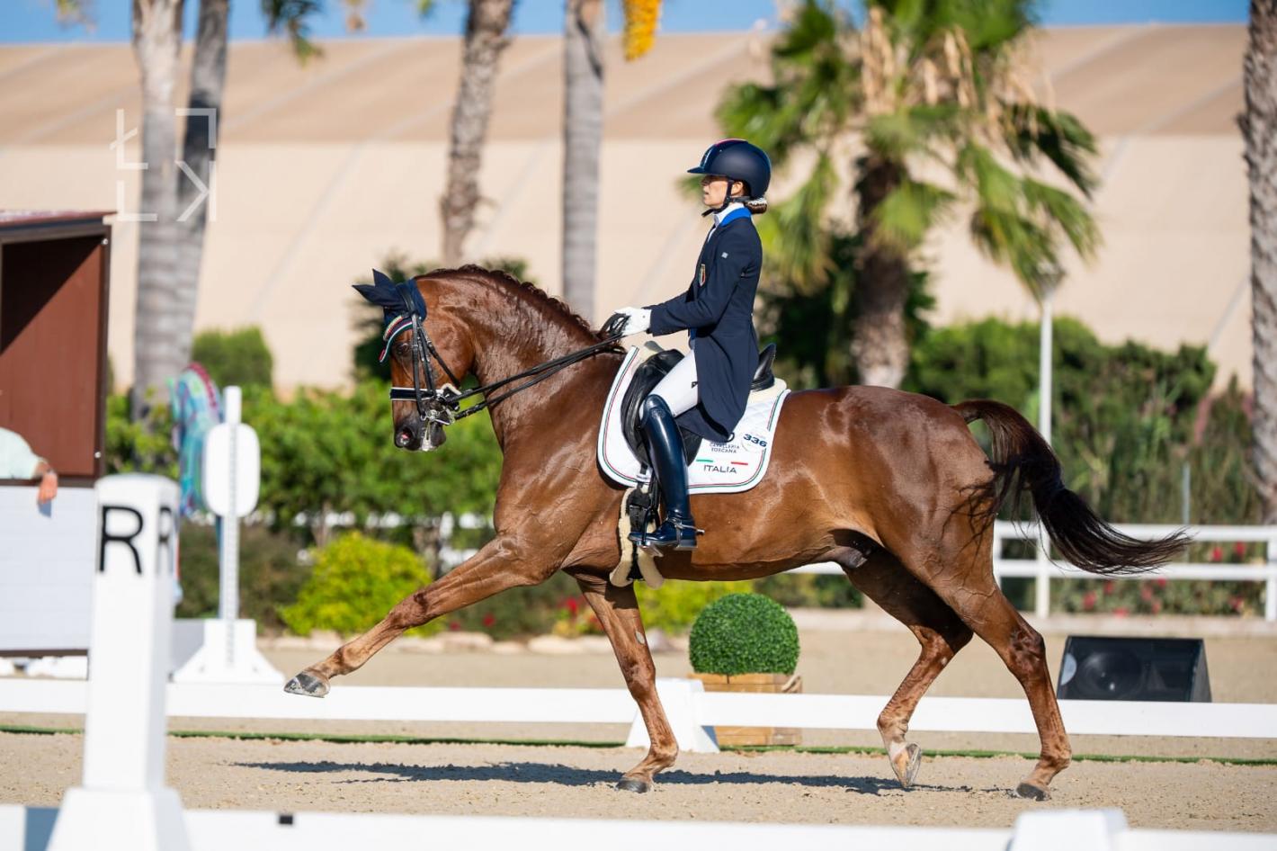 images/emiliaromagna/Dressage/medium/LIPPI_MARTINA_RUBINS_ROCKSTAR_2022_MALASPINA_1.jpeg