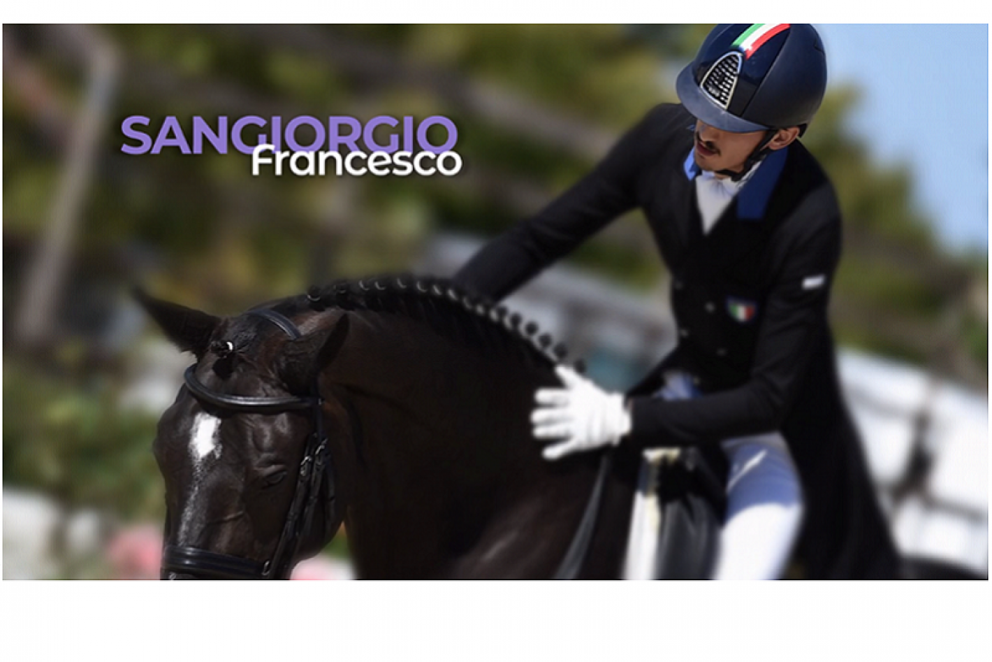 images/emiliaromagna/Dressage/medium/SANGIORGI_FRANCESCO.PNG
