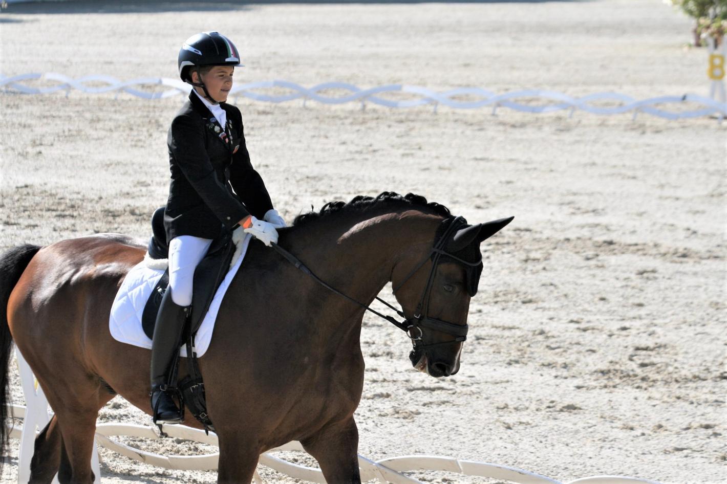 images/emiliaromagna/Dressage/medium/SPAGNI_RICCARDO_CESAN_AREZZO2020.jpg