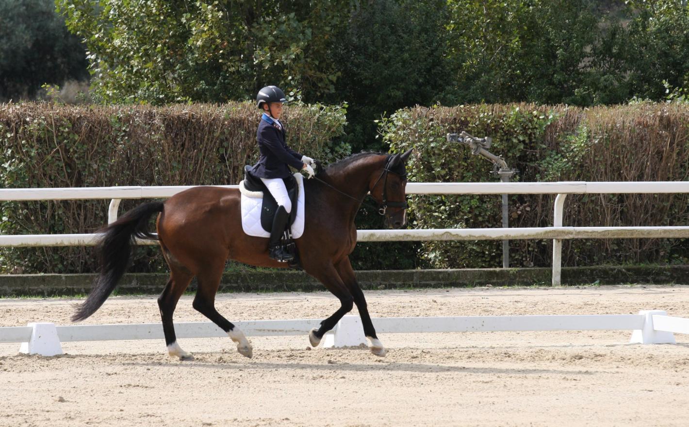 images/emiliaromagna/Dressage/medium/SPAGNI_RICCARDO_CESAN_CAMPIT2019__PH_GABRIELE_ZANASI_1.jpg