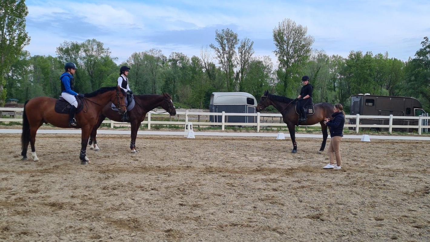 images/emiliaromagna/Dressage/medium/TRUPPA_STAGE.jpg