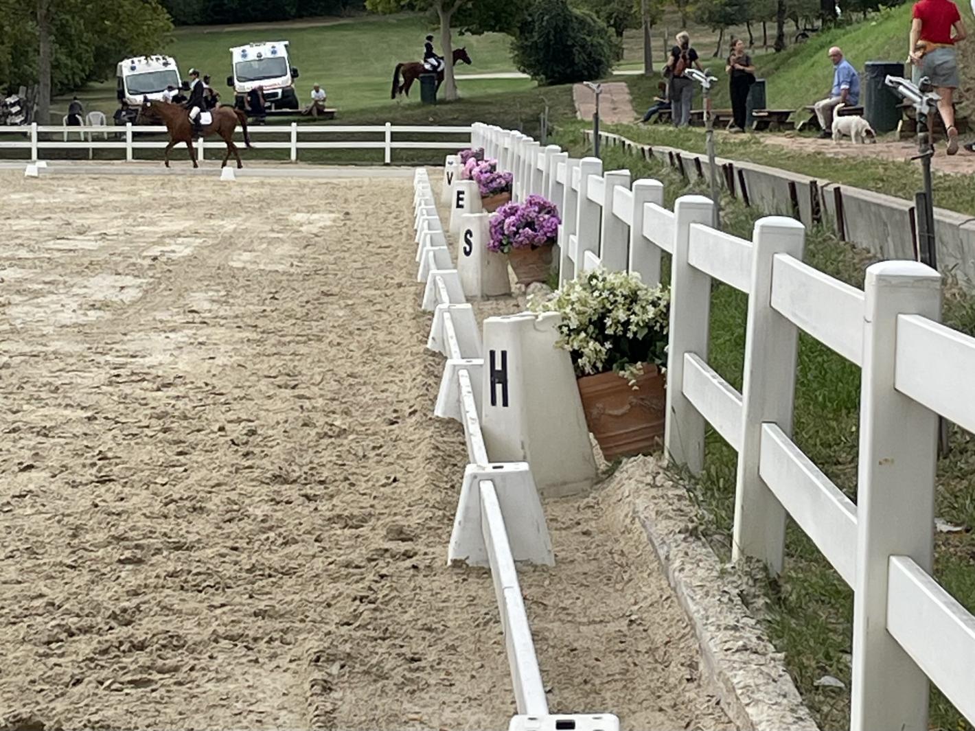 images/emiliaromagna/Dressage/medium/dressage.jpg