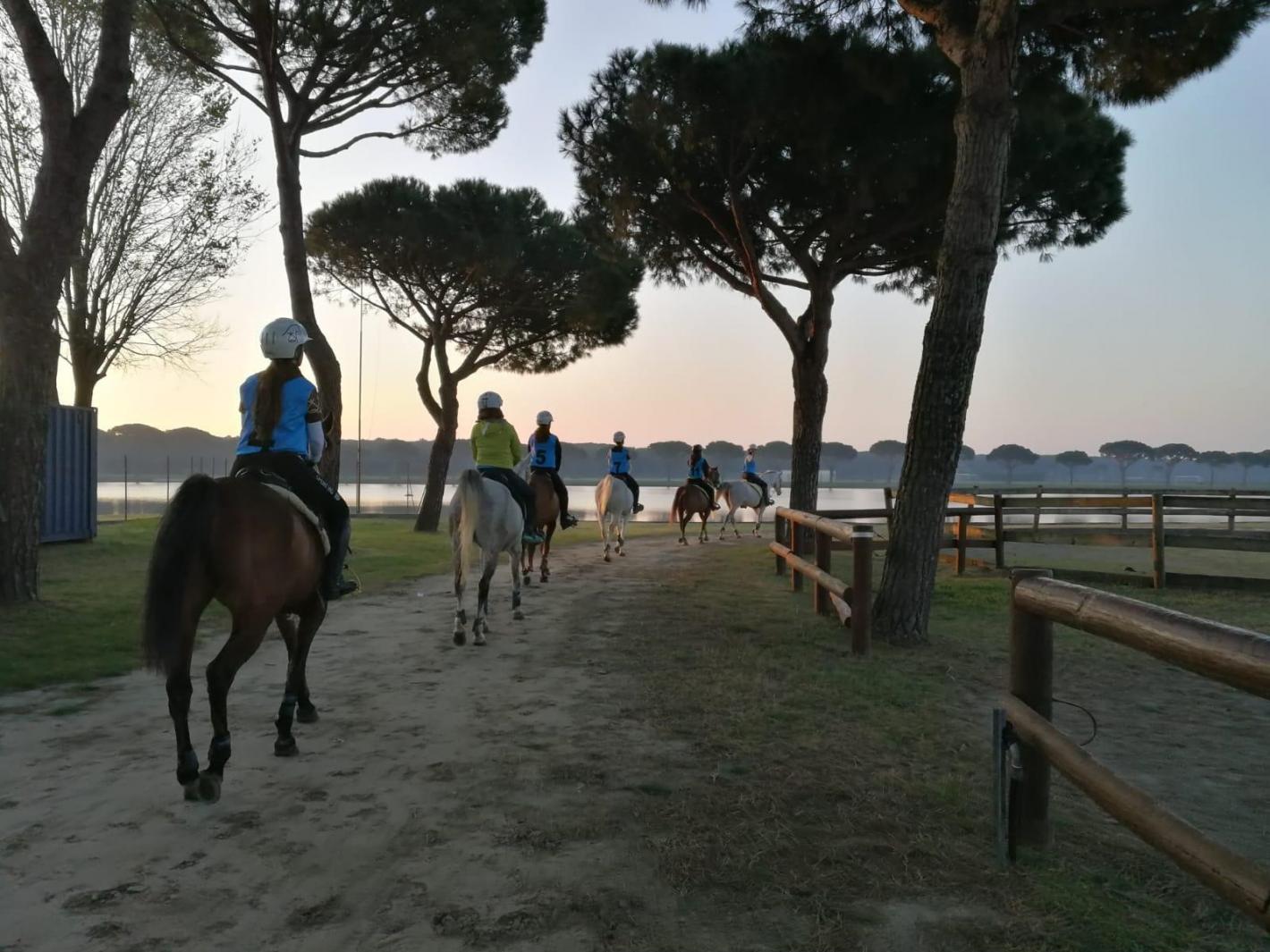 Get Wallpaper Federazione Italiana Sport Equestri Cr Emilia Romagna For Free