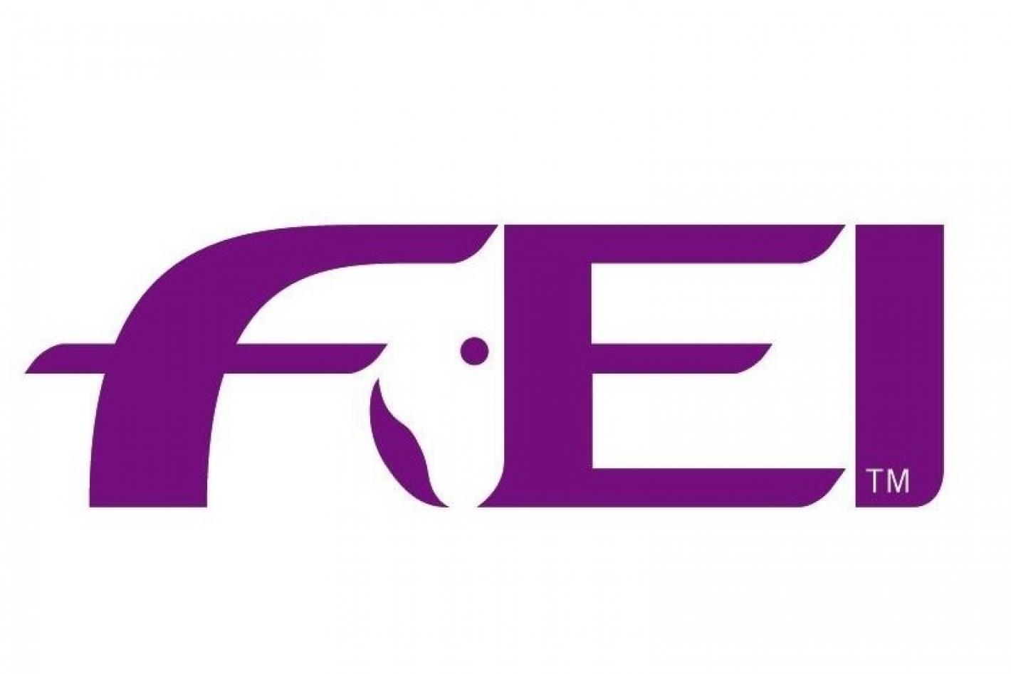 images/emiliaromagna/Formazione/medium/Logo_FEI.jpg