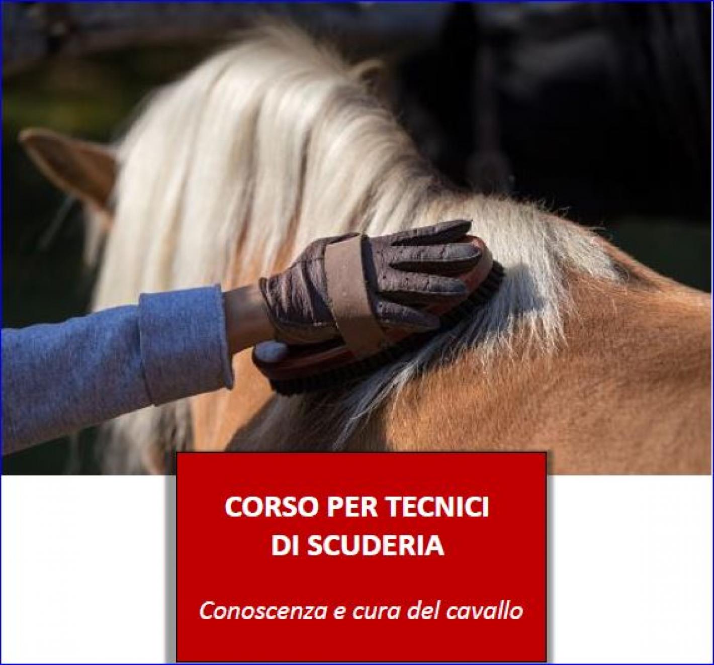 images/emiliaromagna/Formazione/medium/TECNICI_SCUDERIA.JPG