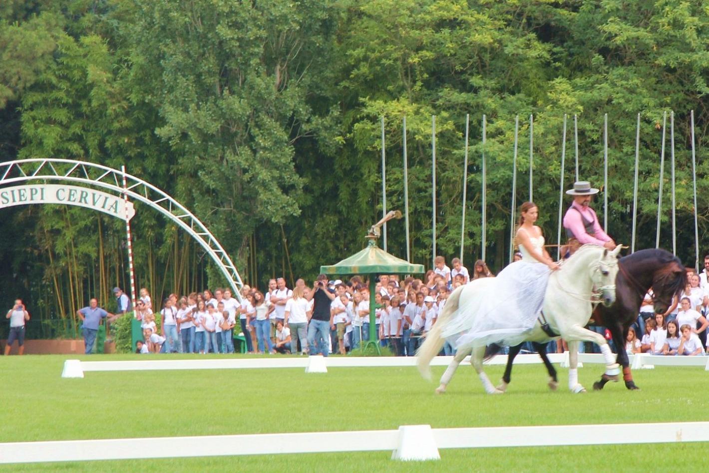 images/emiliaromagna/News/medium/CAMP_PONY_APERTURA.jpg