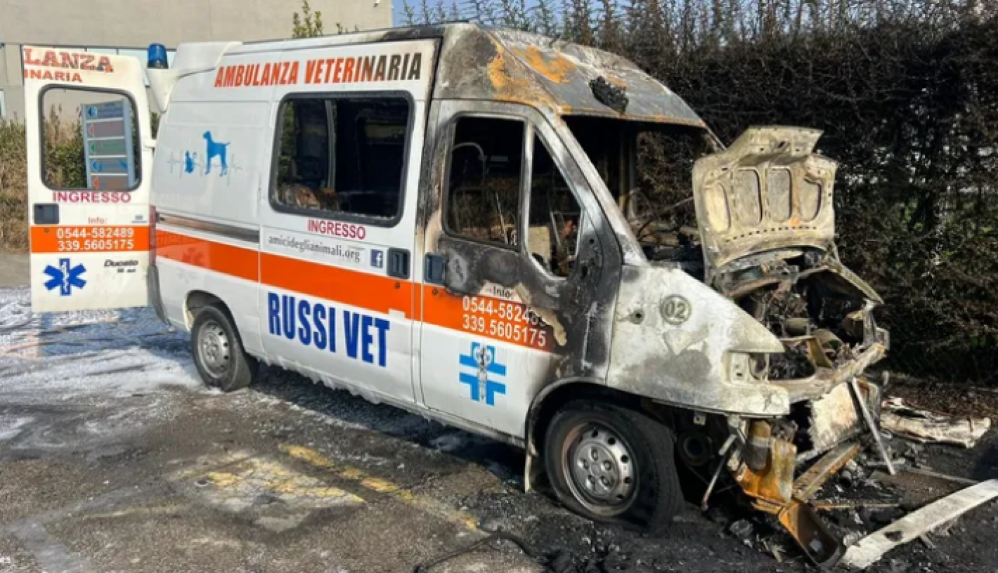 images/emiliaromagna/News/medium/animal-rescue-team-7.jpg.png