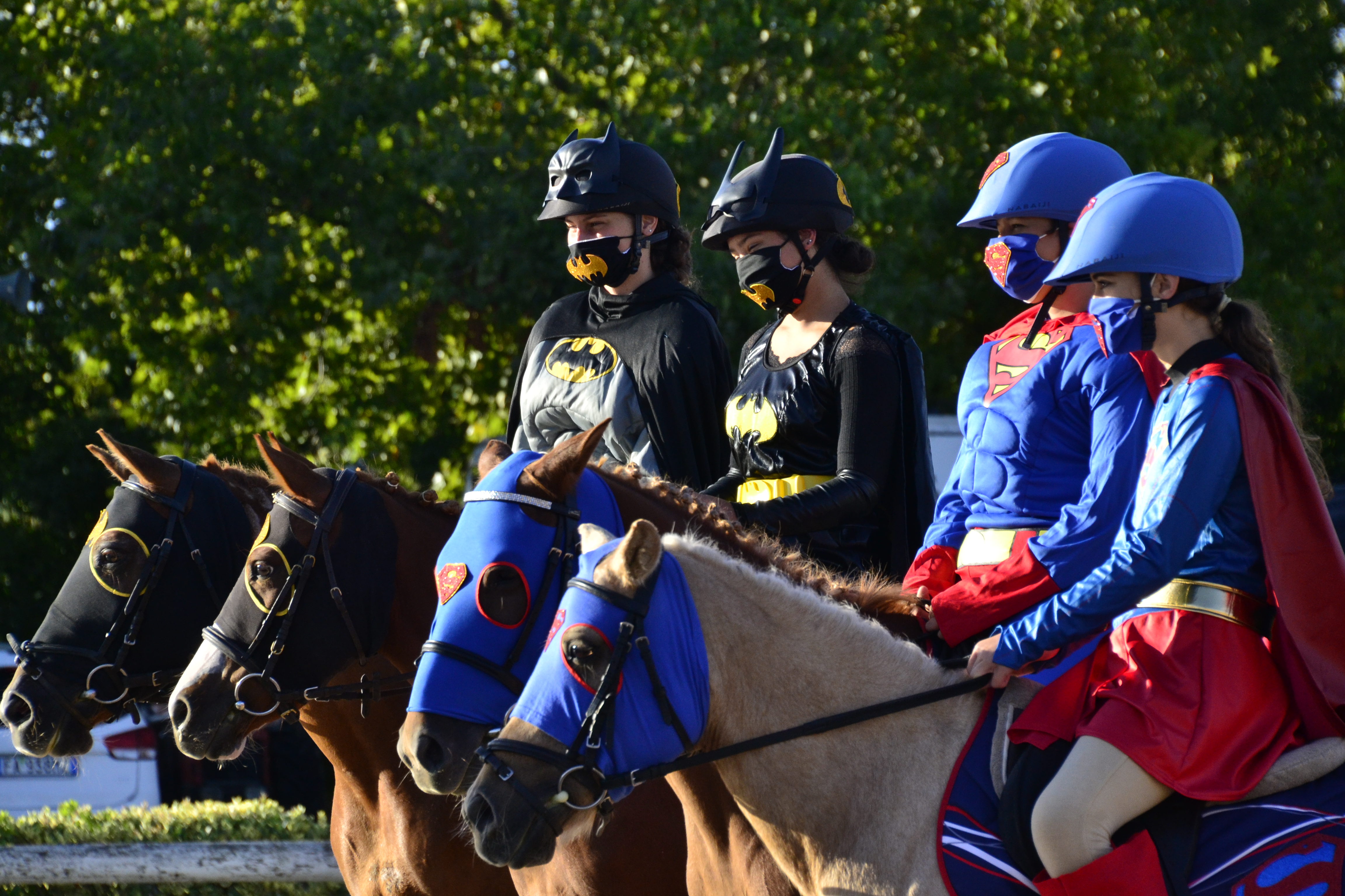 Federazione Italiana Sport Equestri CR Emilia Romagna TUTTI I  