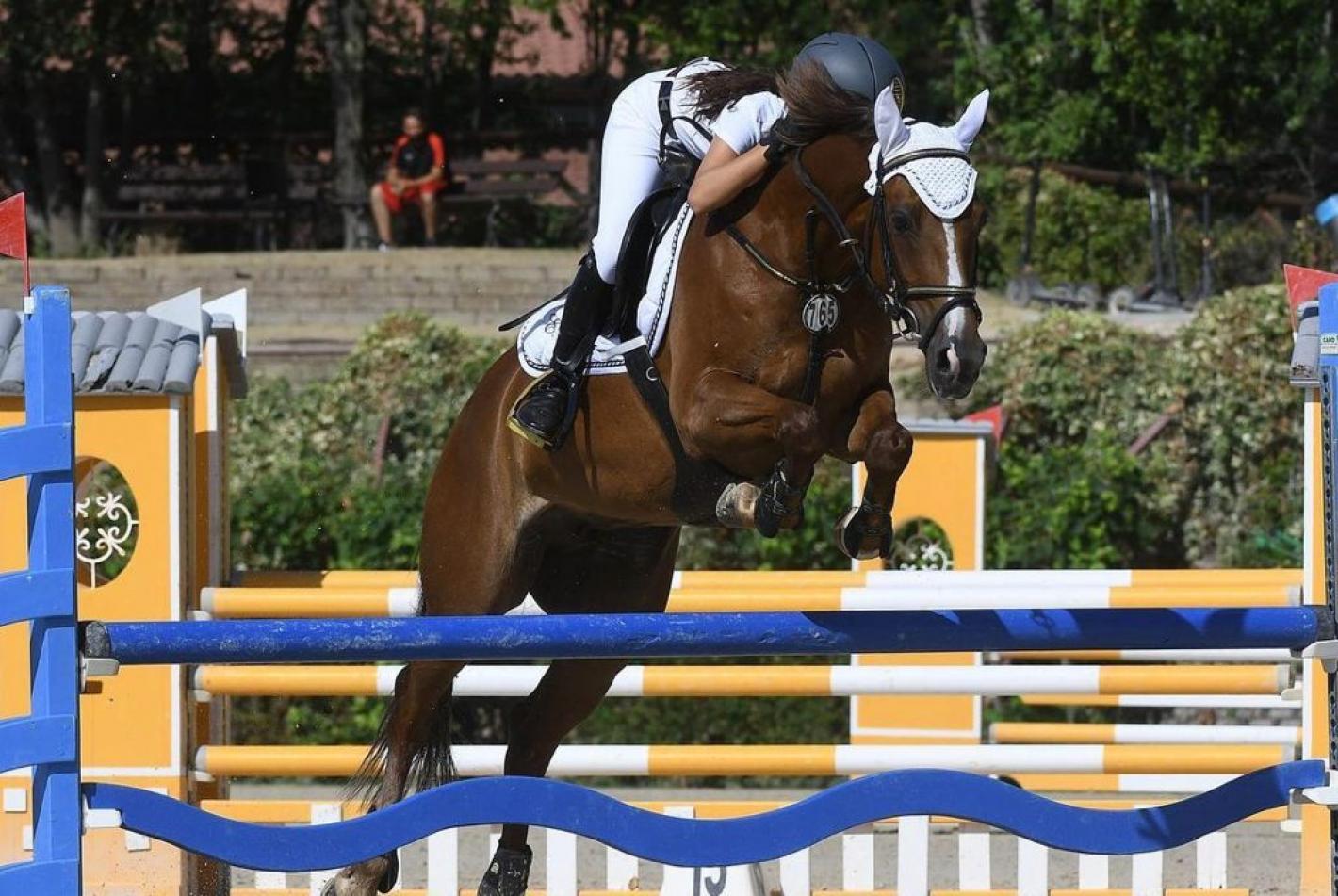 images/emiliaromagna/Salto_Ostacoli/medium/BALLARDINI_EVA_SIBILLE_CATTOLICA_2021.jpeg