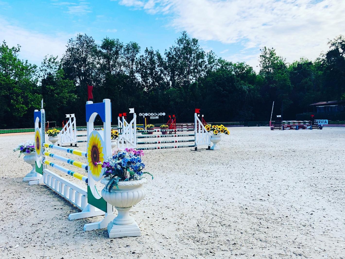 images/emiliaromagna/Salto_Ostacoli/medium/LE_SIEPI_CAMPO_DRESSAGE.JPG