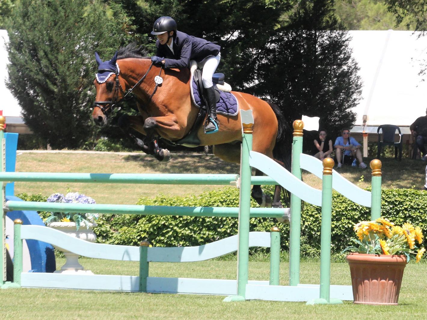 images/emiliaromagna/Salto_Ostacoli/medium/PIZZETTI_ANDREA_Mister_Moujik_V_H_Molenhof_PAGANELLI_CERVIA_2019_RID.jpg