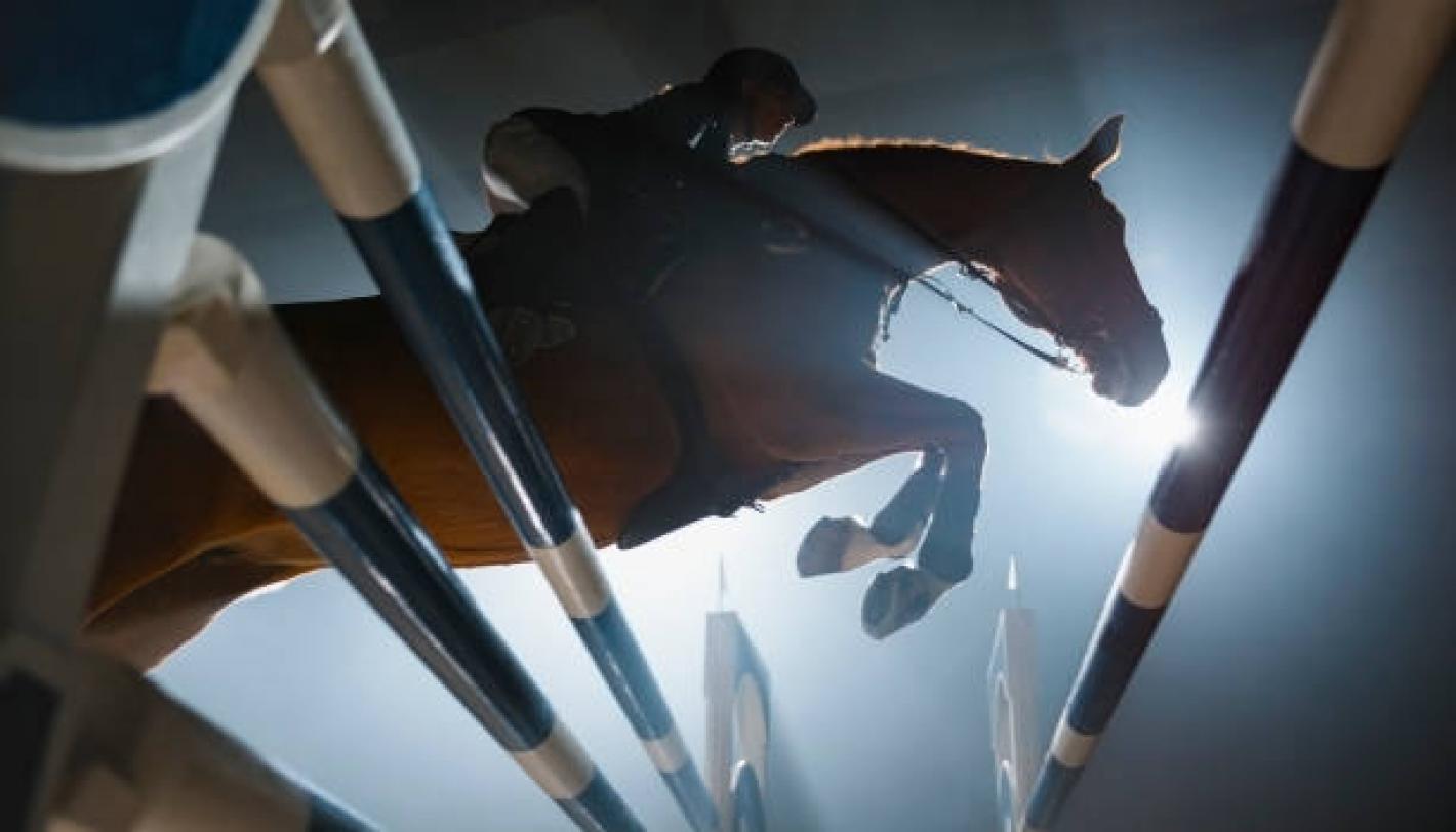 images/emiliaromagna/Salto_Ostacoli/medium/salto_generica_2.jpg