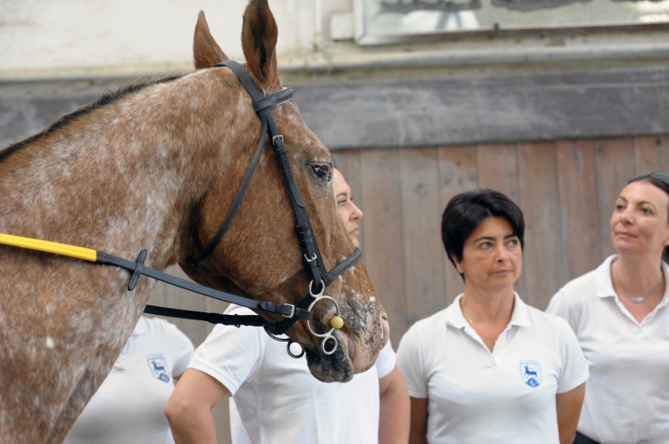 MEETING PARALIMPICO ACCADEMIA 9-6-2019_ (50)