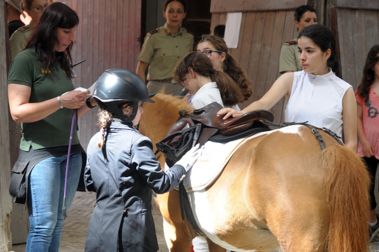 MEETING PARALIMPICO ACCADEMIA 9-6-2019_ (56)