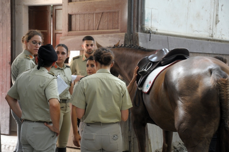 MEETING PARALIMPICO ACCADEMIA 9-6-2019_ (87)