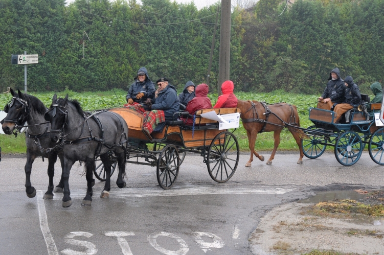 PARADRIVING 2019 MO-VR_10_FOTO_GIORGIO_GIRIBALDI